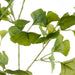 NSIMG-SHA256:6deb2790a8cb7c4bfdddbc59be731e5201f0a1fadedbbaf8ec68e3e24196f68d · Isalbi Rogue Ginkgo Spray Green