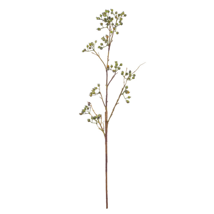 NSIMG-SHA256:5f01863e3e579ac97a50541a3450a748528d8eb34a09f3435abdb9cbceac3c24 · Isalbi Rogue Green Berries Spray Green