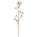 NSIMG-SHA256:5f01863e3e579ac97a50541a3450a748528d8eb34a09f3435abdb9cbceac3c24 · Isalbi Rogue Green Berries Spray Green