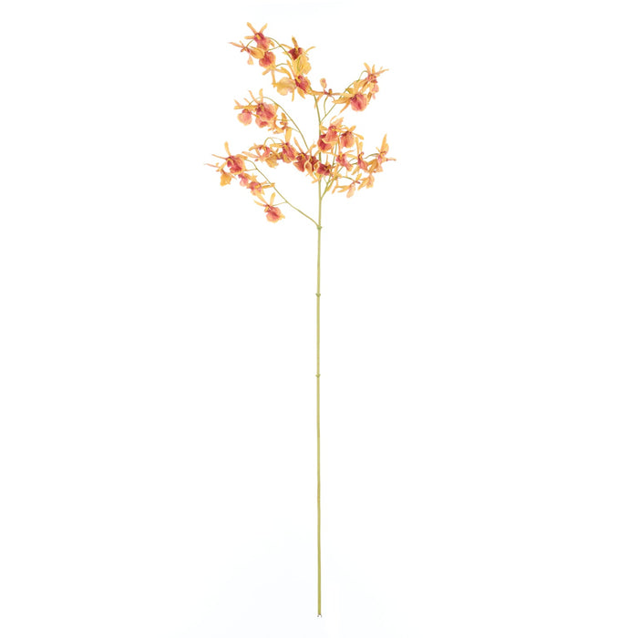 NSIMG-SHA256:1a24e7f3b56bc397af1864ab406ff2309fd89946b9bf1723ee1eeb3c617a7a10 · Isalbi Rogue Dendrobium Orchid Stem Orange