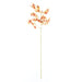NSIMG-SHA256:1a24e7f3b56bc397af1864ab406ff2309fd89946b9bf1723ee1eeb3c617a7a10 · Isalbi Rogue Dendrobium Orchid Stem Orange
