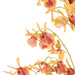 NSIMG-SHA256:dfc8da719edc4bb3eba7c8dfd59a20ccfe089920a6c23ee4cc73e5436a61580c · Isalbi Rogue Dendrobium Orchid Stem Orange