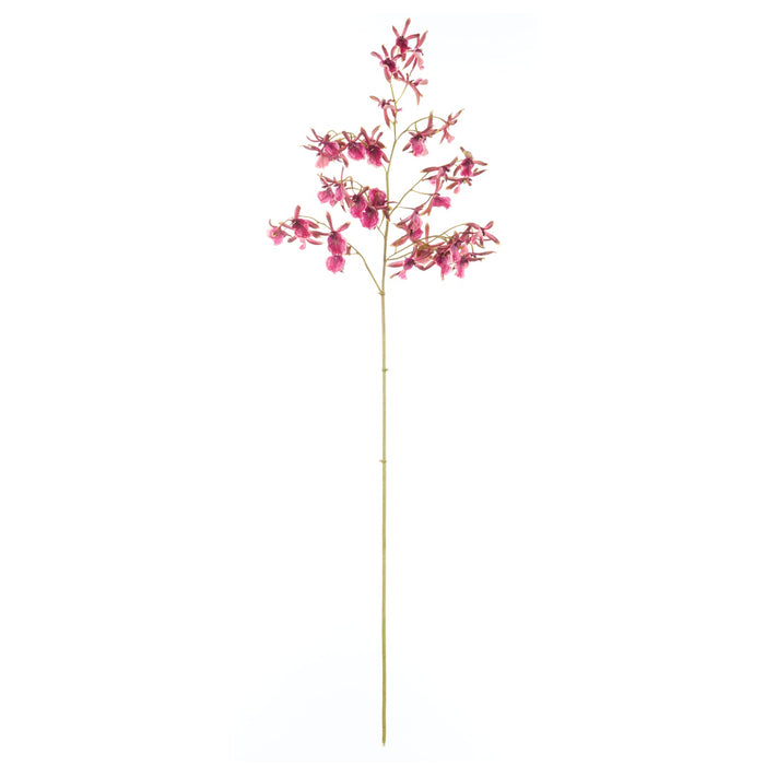 NSIMG-SHA256:ed178ac6dbabcaa2c12aa74c5ded6a8b927e126be7b4ba76c986b04981a52365 · Isalbi Rogue Dendrobium Orchid Stem Burgundy