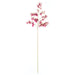 NSIMG-SHA256:ed178ac6dbabcaa2c12aa74c5ded6a8b927e126be7b4ba76c986b04981a52365 · Isalbi Rogue Dendrobium Orchid Stem Burgundy