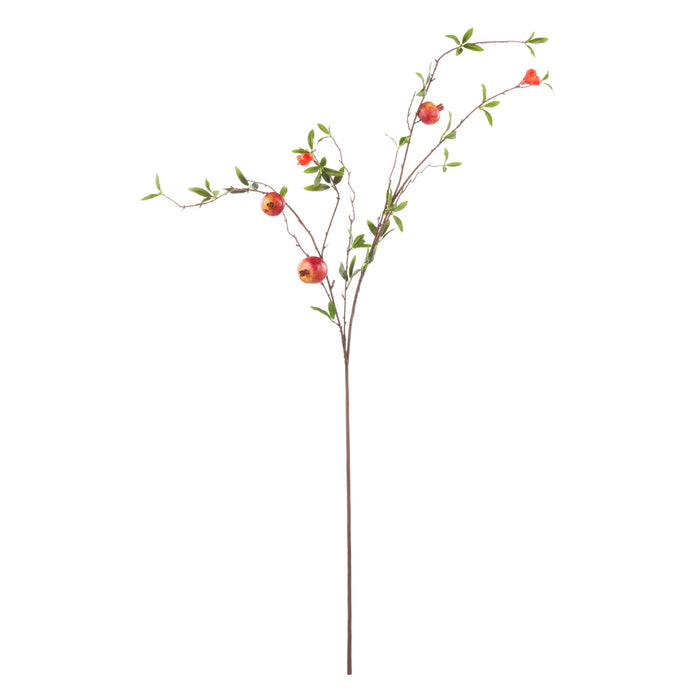 NSIMG-SHA256:e088635ec877d23e9ce17139fe4093d68c02dc4e541e48c8b240b005458cac02 · Isalbi Rogue Weeping Pomegranate Green