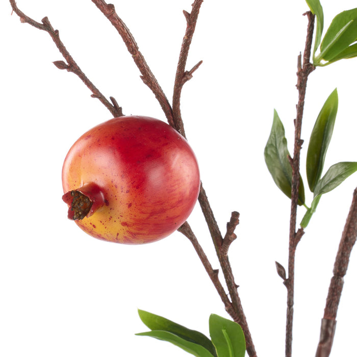 NSIMG-SHA256:728115d285dfa648632fc9493403d3dc6592825163eccc410c6e52f13993a495 · Isalbi Rogue Weeping Pomegranate Green