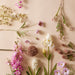 NSIMG-SHA256:852aae418f351dffef9f8dfbed4d569b797aaf514c058b3194b50c8c394a1988 · Isalbi Rogue Bearded Iris White