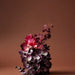 NSIMG-SHA256:39add8cecdc8e01dc938e0aefa85c64c82be852a0547a6a52b7c46dae64ad9cb · Isalbi Rogue Bearded Iris Burgundy