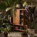 NSIMG-SHA256:0547cdf217b2ee520d63022b4632d1688536e4123d0ea766be54f541f9765363 · Isalbi Rogue Gardening Hanging Green