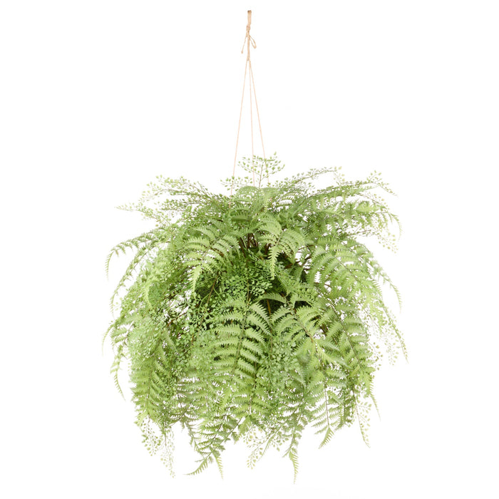 NSIMG-SHA256:79e13acdea93ad0c7a28355e222080c32b2a302f9d187d75d34fb53a251e87d3 · Isalbi Rogue Gardening Hanging Green