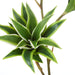 NSIMG-SHA256:598df2e8f8f6a2c7030fa3415716db8937d74c2a953eedc90fc7ec2f2aa38634 · Isalbi Rogue Tradescantia Spray Green