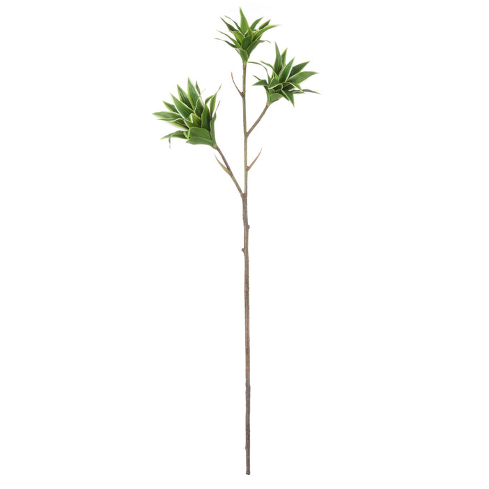 NSIMG-SHA256:76f67954362edb215ba04f33762d32c5b2db21dd4c439b2854d4ecd64ee3af5e · Isalbi Rogue Tradescantia Spray Green
