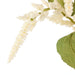 NSIMG-SHA256:edc6145a0694a1bd76a79f7e9779d88424b42a1cf91e6ffbcc4d6f4408f42be9 · Isalbi Rogue Amaranthus Hanging Spray White