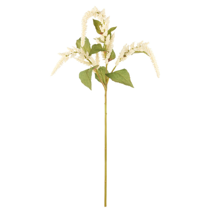 NSIMG-SHA256:36273eb5579dd4d7f3848bc2ce7cf77c370c8157286c077759c29f4a030f9763 · Isalbi Rogue Amaranthus Hanging Spray White