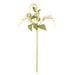 NSIMG-SHA256:36273eb5579dd4d7f3848bc2ce7cf77c370c8157286c077759c29f4a030f9763 · Isalbi Rogue Amaranthus Hanging Spray White