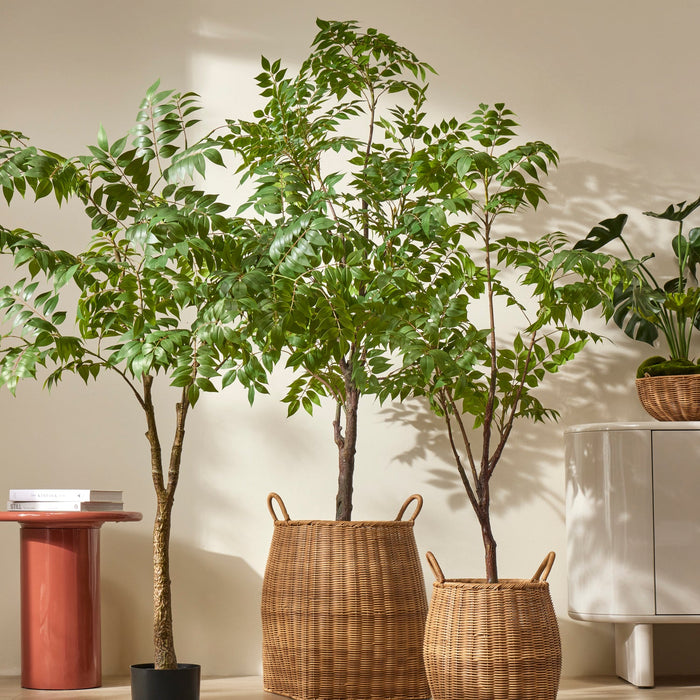 NSIMG-SHA256:14013a0e5b34dad9c70df8292fc4d8c0b4a6cd6c7d28345c1873174ec1dc267e · Isalbi Rogue Laos Planter 2pcs Set Natural