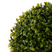 NSIMG-SHA256:9f60c841df6a791933e9fddc04c4267ce40023b2de2ed8a698060786e7ca894d · Isalbi Rogue Boxwood Topiary Ball UV Green