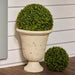 NSIMG-SHA256:db6a01b4f6d32587bfe6e0fc93187ff3bc1bb6aff2f47ea7069a8cb210cfed3b · Isalbi Rogue Boxwood Topiary Ball UV Green
