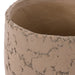 NSIMG-SHA256:4fb4cb411b2776c03df7684fb45697c2bf9ed7d6471352a097c091671faecac7 · Isalbi Rogue Oliver Pot Brown