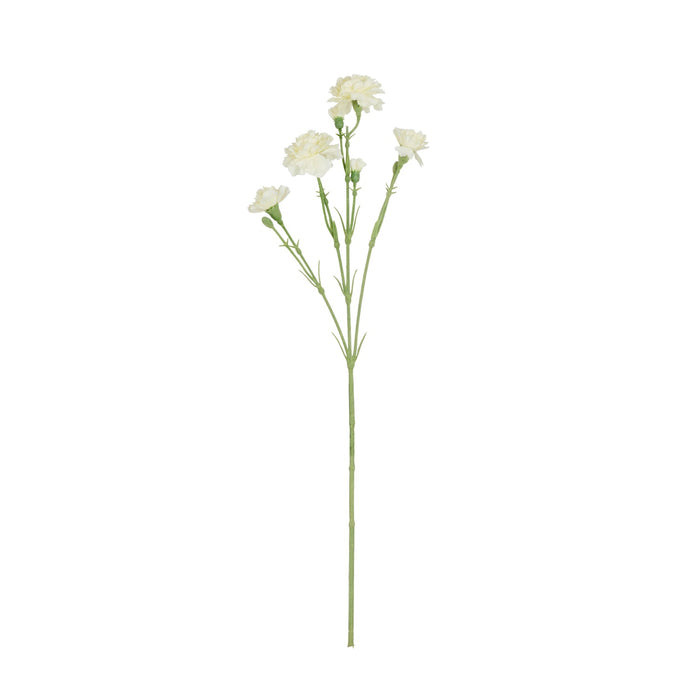 NSIMG-SHA256:5112e9111eb362194b9d06327402568bae4ba20e93620e48848de4b45f395913 · Isalbi Rogue Carnation Spray Ivory