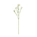 NSIMG-SHA256:5112e9111eb362194b9d06327402568bae4ba20e93620e48848de4b45f395913 · Isalbi Rogue Carnation Spray Ivory