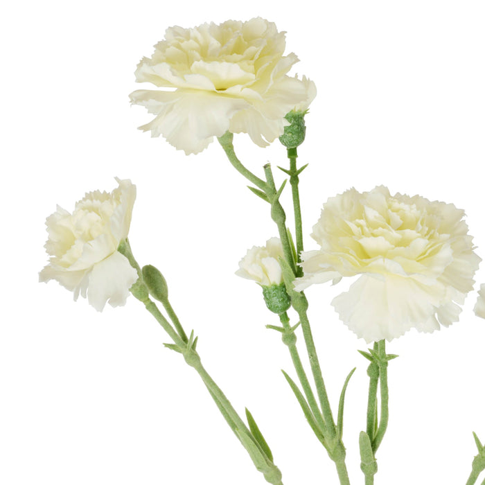NSIMG-SHA256:dd808206d6d02d06c316d9b15a6e5879c96657bc6c17ee47f3556caa3c7bb08c · Isalbi Rogue Carnation Spray Ivory