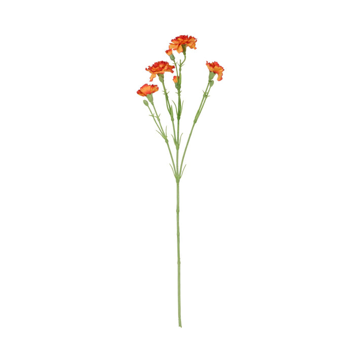 NSIMG-SHA256:112083fc1f11325325262bbdfe4747ca00712c3f0560b8a383287aa82e3b3282 · Isalbi Rogue Carnation Spray Orange
