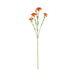 NSIMG-SHA256:112083fc1f11325325262bbdfe4747ca00712c3f0560b8a383287aa82e3b3282 · Isalbi Rogue Carnation Spray Orange