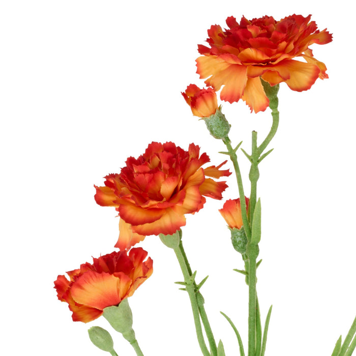 NSIMG-SHA256:c386863434c7ecddc38e01b6138d6fa4a54cae6514c3a9a58a26cf0ca7ad9b80 · Isalbi Rogue Carnation Spray Orange