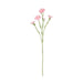 NSIMG-SHA256:d3716c24ded544a2e93bbf6c1bb635ac51b51a04ba544d6854b9a9ad34152f4e · Isalbi Rogue Carnation Spray Light Pink