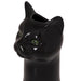 NSIMG-SHA256:639bdfdf71e30352980c2a020202d61b14b0b670fb57eabd2bfaf04d76343d7e · Isalbi Emporium Aslan Cat Vase Black