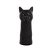 NSIMG-SHA256:030bf607d75f85e647f1012fb9bc1ab8ef29f974471b4d0461bf60e674e2b607 · Isalbi Emporium Aslan Cat Vase Black