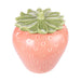 NSIMG-SHA256:2264cbba75057c83a8608d9efec581a6c303c784726cf76a05d000edf1a1eb9c · Isalbi Emporium Anniston Strawberry Jar Pink