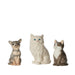 NSIMG-SHA256:ece372823d2f907a9d31aa93e3942012b4b78e9726ea7e4cf61046cb21b11423 · Isalbi Emporium Chester Tabby Vase Multi-Coloured