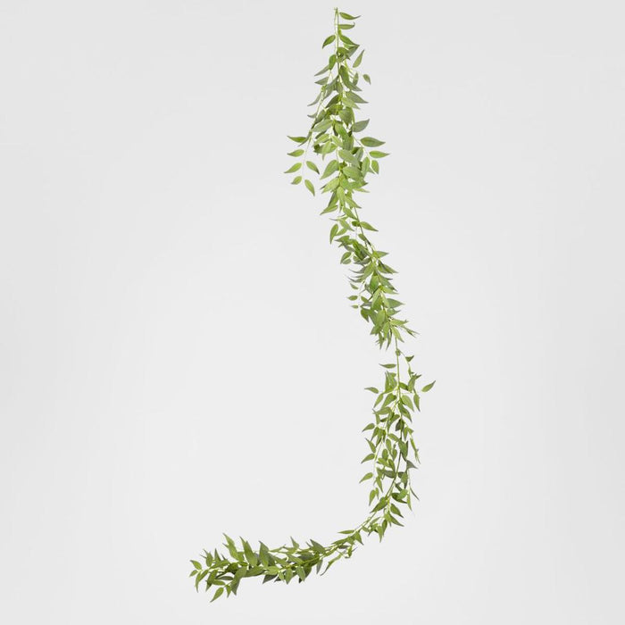 Garland Italian Ruscus