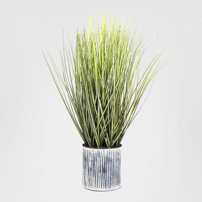 Grass in Pot 64cm