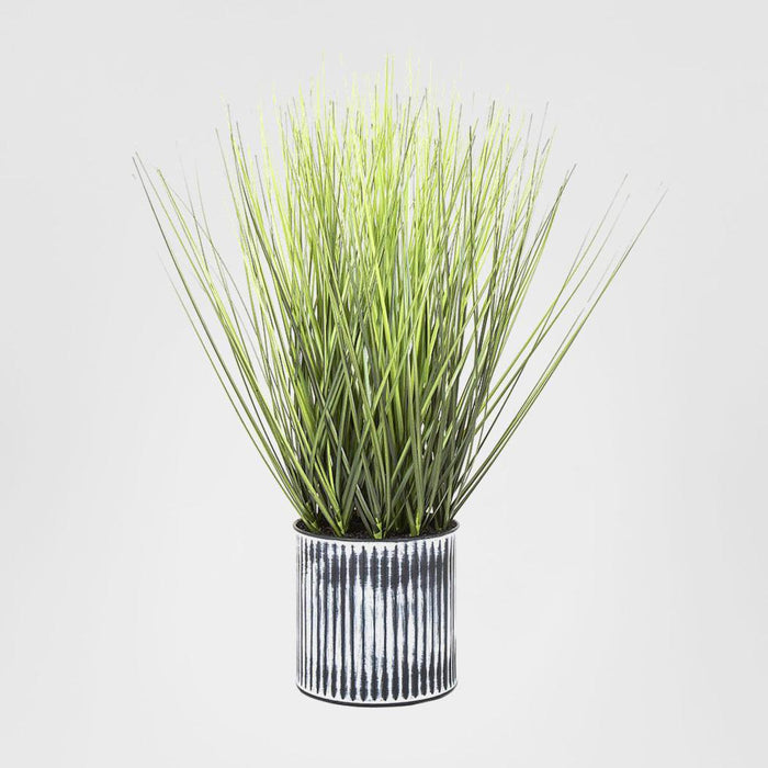 Grass in Pot 48cm