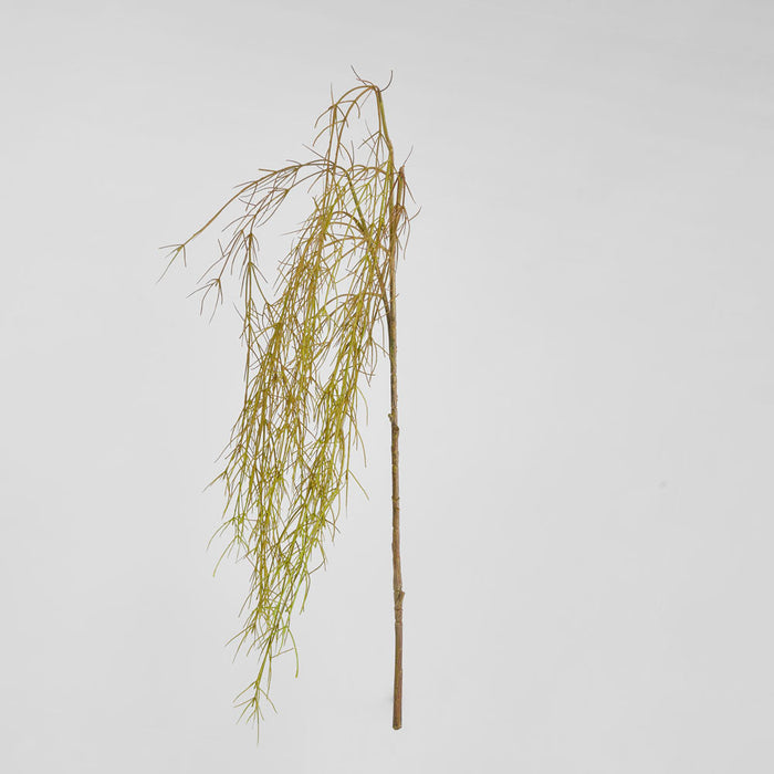 Coral Grass Green 156cm