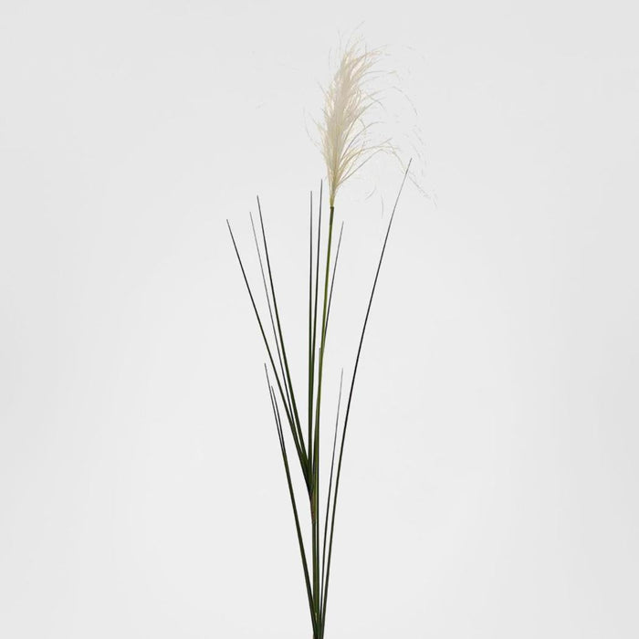 Reed Grass Spray 74cm 6 pcs