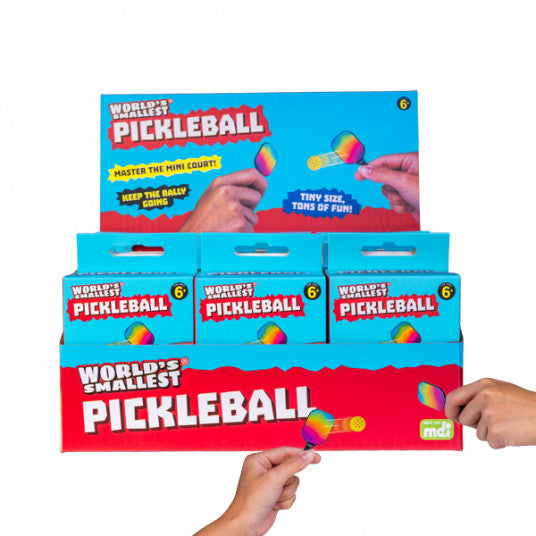 World's Smallest Pickleball Set