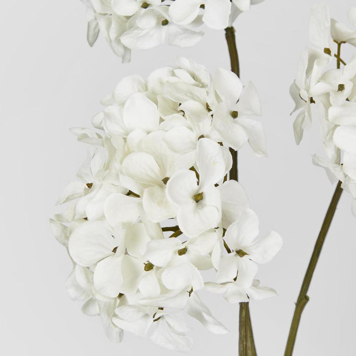 Mini Hydrangea Spray With 3 Heads White