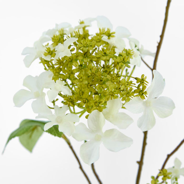 Lace cap Hydrangea Spray 70cm White