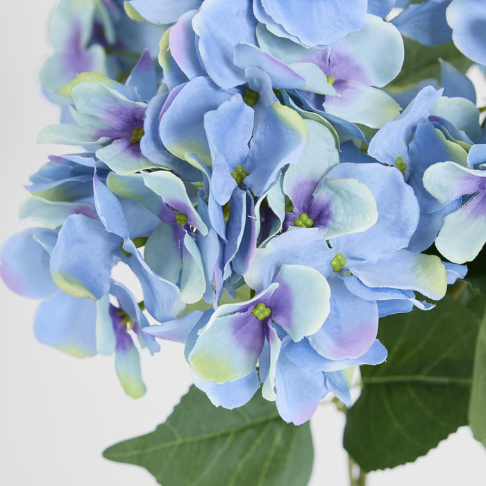 Hydrangea Bundle with Leaves 55cm Blue