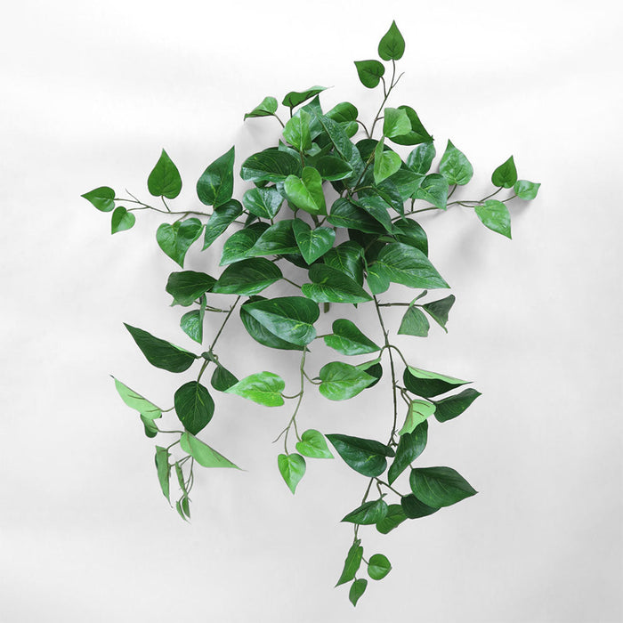 Flame Retardant Hanging Pothos Bush UV Coated
