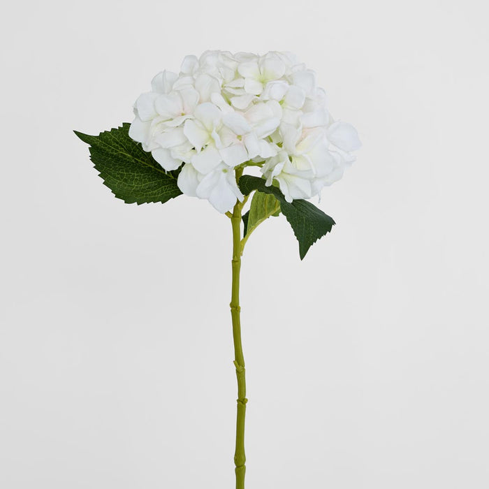 Hydrangea Stem 62cm White