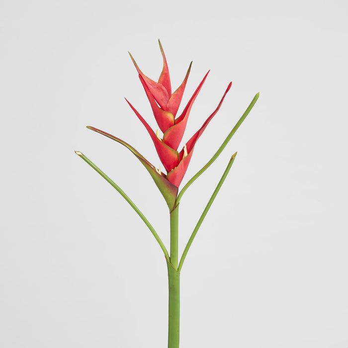 Heliconia 82cm Red