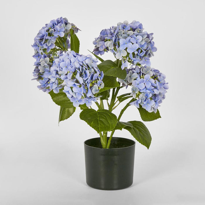 Hydrangea Potted Real Touch Blue 53cm