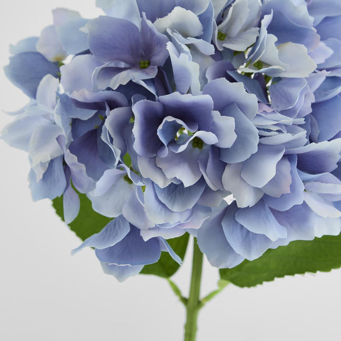 Hydrangea Stem Soft Touch 50cm Blue