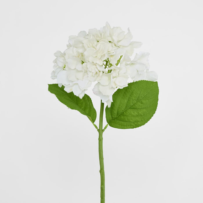 Hydrangea Stem Soft Touch 50cm White