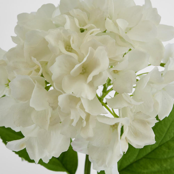 Hydrangea Stem Soft Touch 50cm White